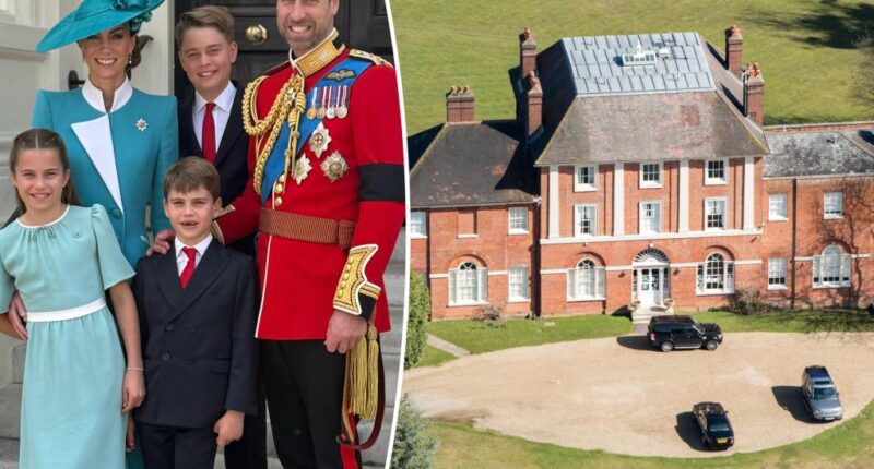 Kate Middleton and Prince William's new neighbors raise privacy concerns