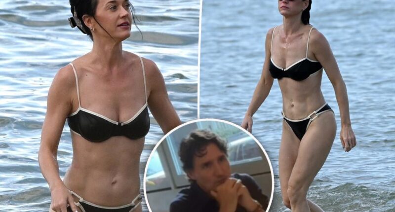 Katy Perry flaunts her chiseled abs in a black bikini