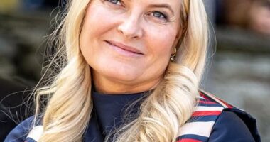 In the new portrait, posted on the official Instagram account of the Norwegian royal household, Crown Princess Mette-Marit is dressed in the colours of her country's flag