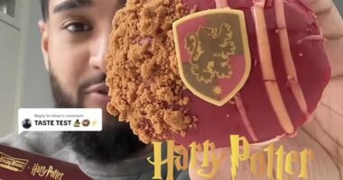 Among the social media creators who sampled the sweet treats online was Ishan (who uses the handle @ishxn.a). He described the partnership between the doughnut brand and the franchise as 'the collaboration of the century'