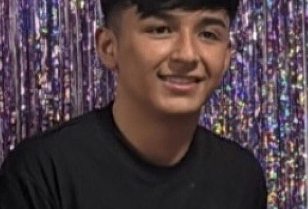 Benjamin Guerrero-Cruz, 18, (pictured) was walking through his Van Nuys neighborhood on August 8 when he was seized by masked immigration officers