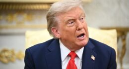 Latest portrait of ‘orange’ Trump that will be hung in the White House is revealed
