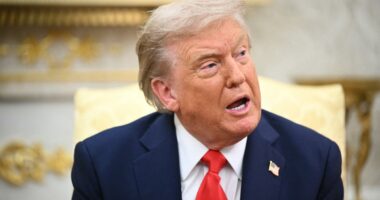 Latest portrait of ‘orange’ Trump that will be hung in the White House is revealed