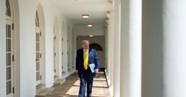Leftist Arrested For Trump Threats And Media Barely Covers It