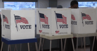 Leftist Media Spreads Lies On Trump's Election Integrity Watchdog