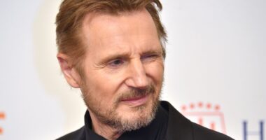 Liam Neeson Comedy Reboot Hits Box Office Milestone in Under 1 Month