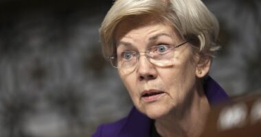 Liz Warren Accidentally Sparks Rare Bipartisanship Moment After Taking Tumble on Senate Floor – RedState