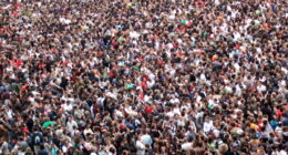 crowd