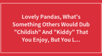 Lovely Pandas, What’s Something Others Would Dub “Childish” And “Kiddy” That You Enjoy, But You Love It Regardless?
