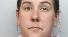 Faced with a 31-month stretch for posting a deeply unpleasant tweet, which she quickly regretted and deleted, Lucy Connolly's (pictured) incarceration finally came to an end yesterday