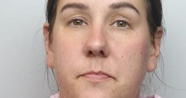 Faced with a 31-month stretch for posting a deeply unpleasant tweet, which she quickly regretted and deleted, Lucy Connolly's (pictured) incarceration finally came to an end yesterday