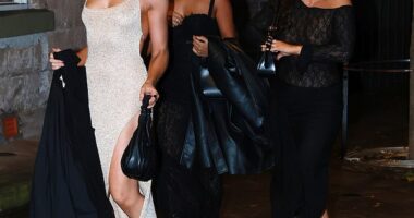 Several of Australian reality TV's most stylish stars reunited in Sydney on Saturday night for an exclusive celebration - and they brought their fashion A-game with them. Rhi Disljenkovic (right) and Beth Kelly (left) led the charge, turning heads as they arrived at Daily Mail senior showbiz reporter Ali Daher's star-studded birthday bash at Dry Martini in Chippendale