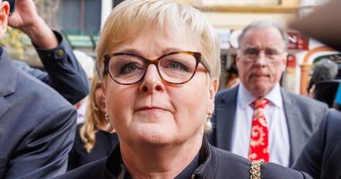 Retired Senator Linda Reynolds (pictured) has won her blockbuster defamation case against Brittany Higgins and her husband David Sharaz, with the Supreme Court of Western Australia awarding her more than $340,000 in damages