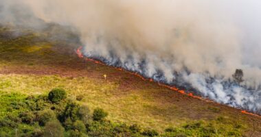 Major incident declared as huge fire rages on Dorset heath