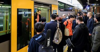 Rail passengers faced major train delays in Sydney due to a signal issue (stock image)