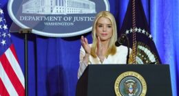 Man Who Allegedly Threw Sandwich at Fed Agent Faces an Even Bigger Consequence – RedState
