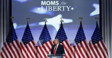 Massachusetts Police Training Center Targets 'Moms for Liberty' as a Hate Group – HotAir