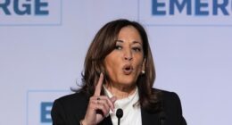 Media Freaks Out Over Normal Secret Service Provision for Kamala – HotAir
