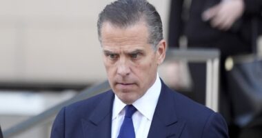 Melania Trump Threatens to Sue Hunter Biden For $1 Billion – HotAir