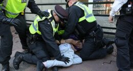 Swarms of anti-migrant demonstrators have taken to asylum seeker hotels across the country as protestors clash with police ahead of more chaos this weekend. Pictured: Officers have made two arrests in Canary Wharf