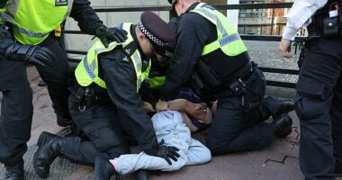 Swarms of anti-migrant demonstrators have taken to asylum seeker hotels across the country as protestors clash with police ahead of more chaos this weekend. Pictured: Officers have made two arrests in Canary Wharf