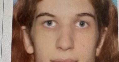 Court records seen by Daily Mail indicate that Westman had previously been known as Robert, having petitioned to have her name changed in 2019