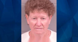 Minnesota Woman Prayed to ‘Guide My Bullets’ As She Opened Fire on Neighbor She Believed Was ‘Murdering and Raping People’