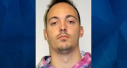Missing Georgia Girl Found Inside Registered Sex Offender’s Car