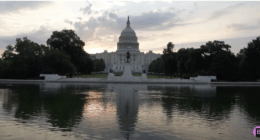 Mom Of D.C. Crime Victim Says U.S. Capital Needs Intervention