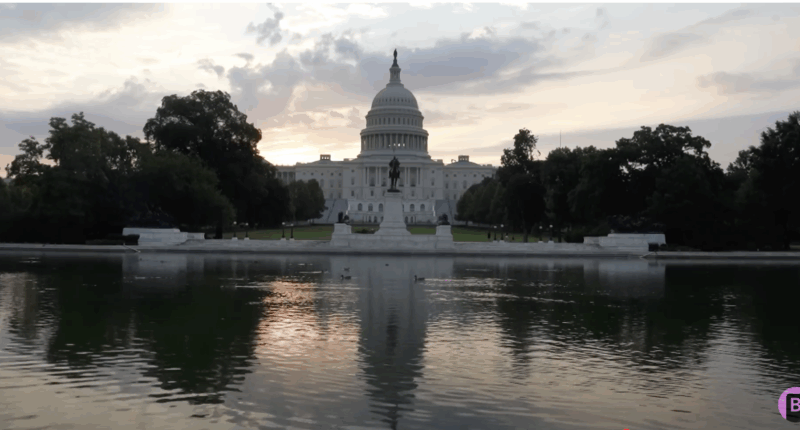 Mom Of D.C. Crime Victim Says U.S. Capital Needs Intervention