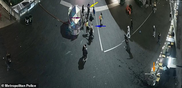 CCTV footage from the scene showed the officers in a brawl with a group of flag-bearing Romanians