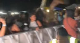 The SandZ Caribbean music festival, held in Addington Park in Croydon, descended into chaos over the weekend. Pictured: The crowd shouting and throwing water bottles