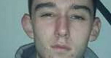 Jacob Power (pictured), 22, was found guilty of multiple burglaries and criminal damage in Hamstead Marshall, Berkshire