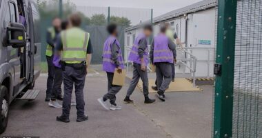 The first Channel migrants selected for removal to France have been pictured arriving at an immigration detention centre