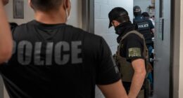 More than 100 human rights abuses discovered in immigration detention since Trump took office, senate probe says