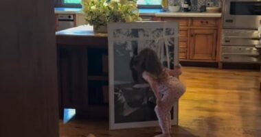Lilibet, four, can be seen examining a new portrait of the family's beloved dog Guy, who passed away earlier this year, at the Sussexes' Montecito mansion in a clip shared on Meghan's Instagram story today