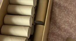 A self-professed 'cheapskate', who lives in a three-bedroom semi-detached house in Yorkshire, has revealed the weird things she sells on the internet to make money, including loo roll cardboard tubes