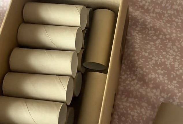 A self-professed 'cheapskate', who lives in a three-bedroom semi-detached house in Yorkshire, has revealed the weird things she sells on the internet to make money, including loo roll cardboard tubes