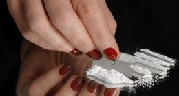 Figures from last year show soaring cocaine use over the past three decades is being driven by the large number of middle-class, middle-aged users