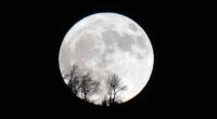 NASA reportedly wants to put a nuclear reactor on the moon. This company’s stock is soaring.