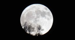 NASA reportedly wants to put a nuclear reactor on the moon. This company’s stock is soaring.
