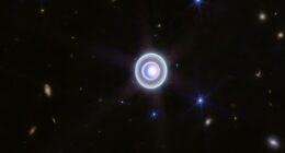 NASA’s Webb Telescope Discovers Tiny New Uranus Moon, Astronomer Explains Its Significance