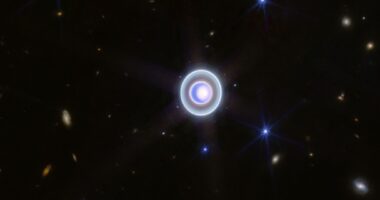 NASA’s Webb Telescope Discovers Tiny New Uranus Moon, Astronomer Explains Its Significance