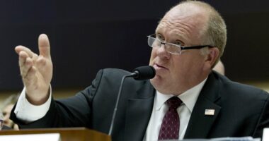 NO ONE Expects the DHS Inquisition! – HotAir