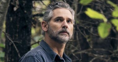 Netflix's 82% RT Thriller Series Gets One Thing Horrifyingly Wrong About Missing Persons Cases