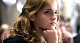 New Golden Trio's Passion and Experience Shine