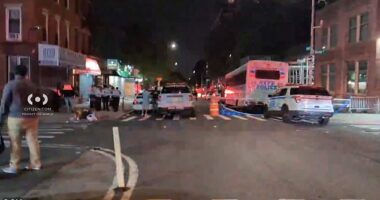 At least three people were killed and eight more were wounded when multiple gunmen opened fire inside a Brooklyn restaurant,