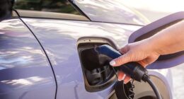 New car sales fell 5% last month as motor industry bosses said Britons had 'delayed' purchases of electric vehicles as they awaited confirmation of Government-supplied discounts