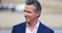 Newsom Aims To Sidestep Redistricting Board Approved By Voters