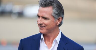 Newsom Aims To Sidestep Redistricting Board Approved By Voters